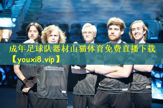 成年足球队器材山猫体育免费直播下载