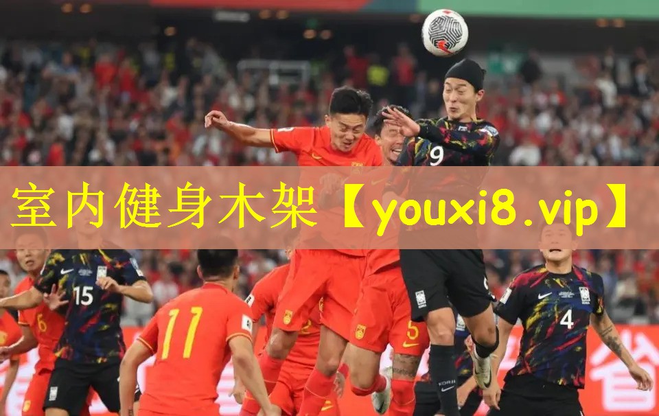 室内健身木架